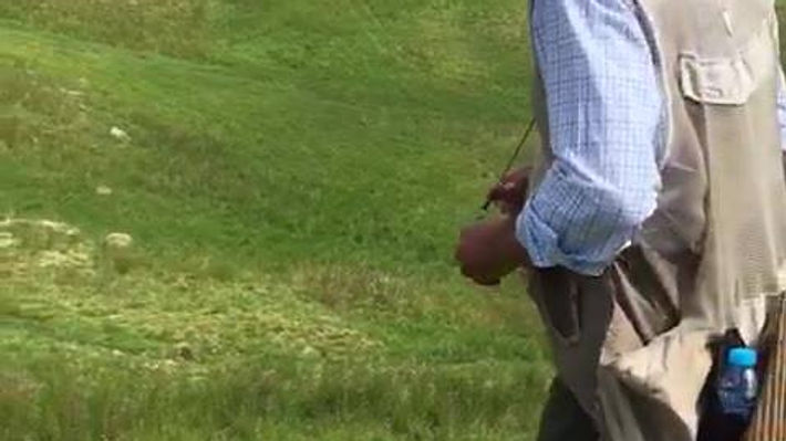 David Latham - FTW Fendawood Harold